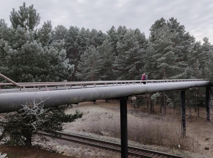 Ein junger Mensch steht auf der Chernobyl-Brücke inmitten eines Nadel-Walds.
